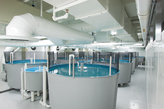 Aquaculture | Project Portfolio | IAS Inc.